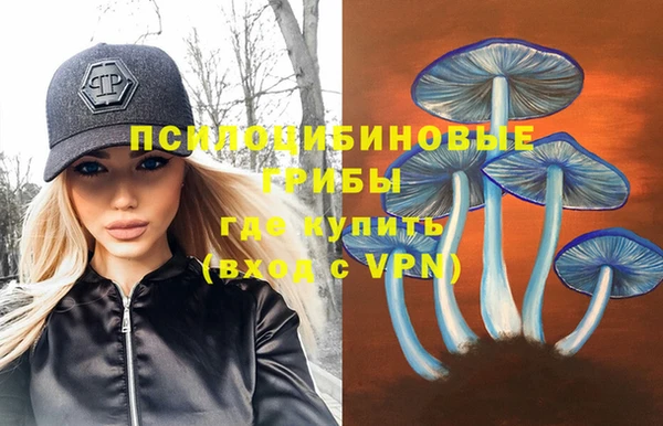 стафф Алзамай