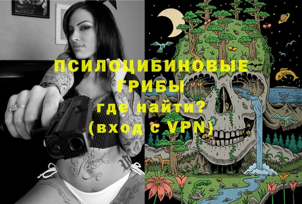эйфоретик Абинск