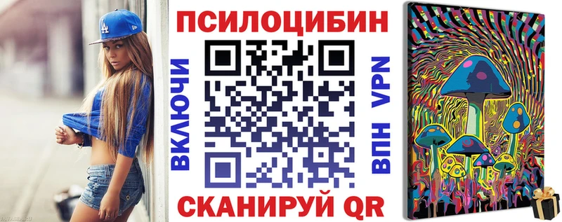 где купить наркотик  Брюховецкая  Псилоцибиновые грибы Magic Shrooms 