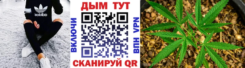 дарнет шоп Брюховецкая сайты даркнета клад Бошки марихуана ГИДРОПОН